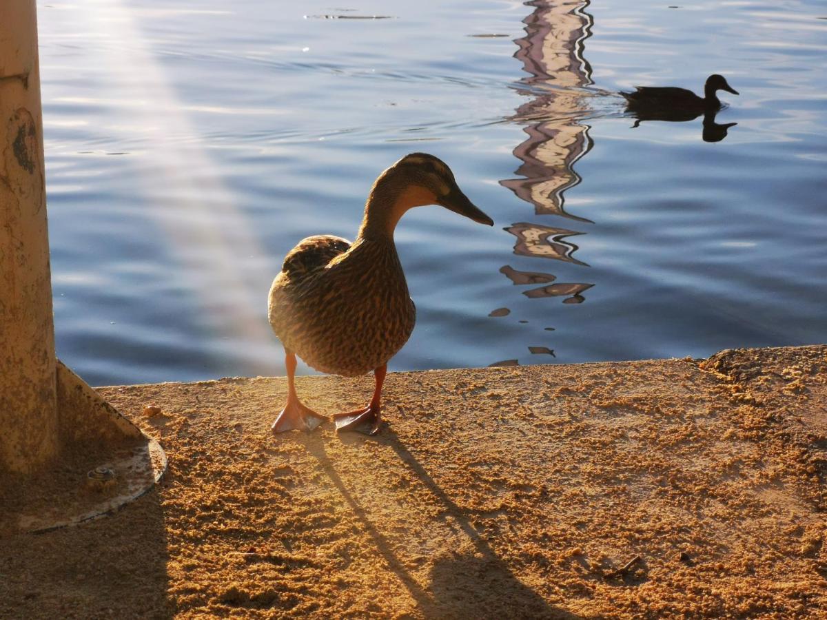 Ferienparadies Gutounik Pörtschach am Wörthersee Buitenkant foto