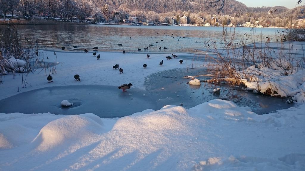 Ferienparadies Gutounik Pörtschach am Wörthersee Buitenkant foto